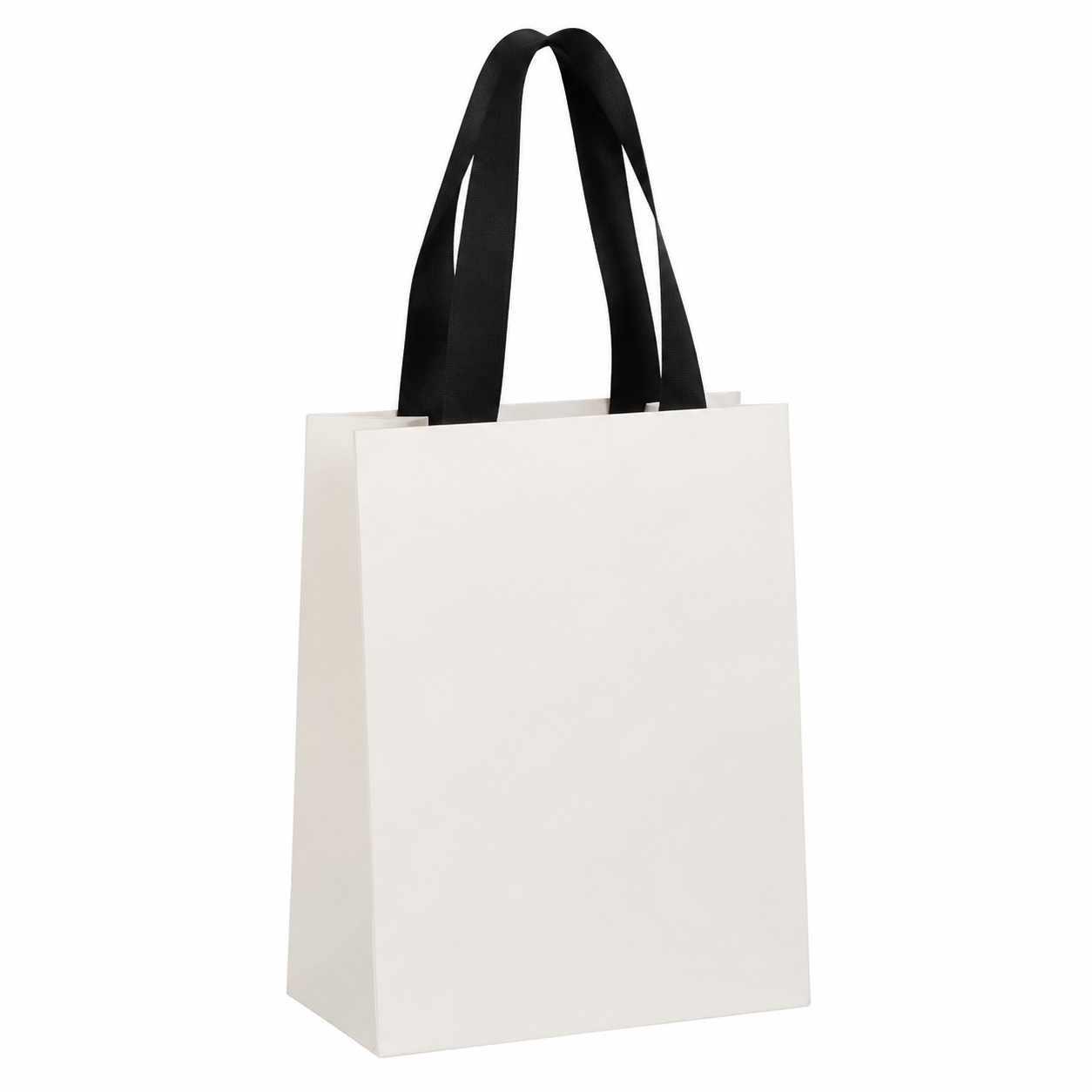 Customizable Paper Gift Bag El - Luxury Bags In Store recension och pris